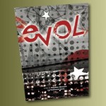 Evol Skate DVD