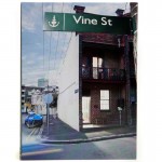 Vine ST Skate DVD