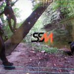VIDEO: SSM Bloodspill Edit