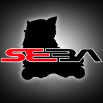 SNEAK PEAK: Seba CJ Wellsmore Pro Skates